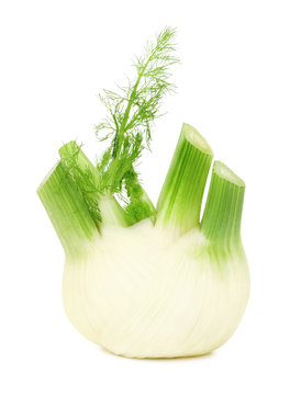 One ripe fennel (isolated)