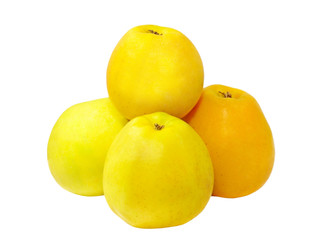 Heap of golden apples.Isolated.