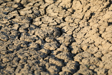 Cracked earth in dry desert