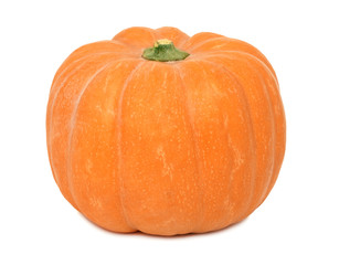 One whole pumpkin on white background