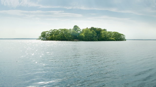 Forest island