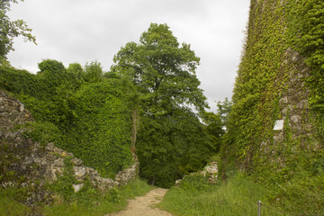 Eingang der Burg Dornach
