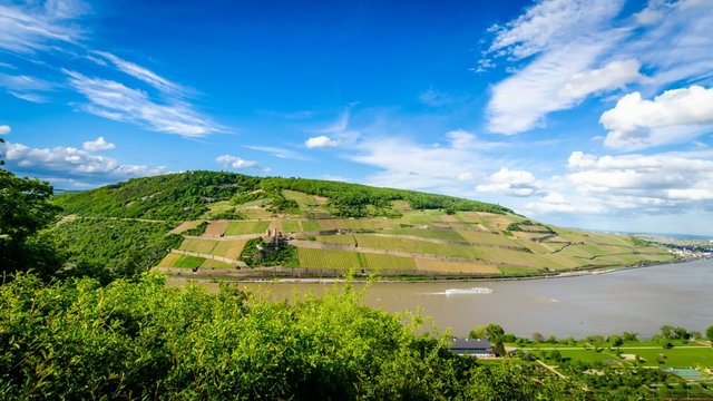 TL - Bingen am Rhein 02