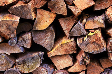 Pile of firewood