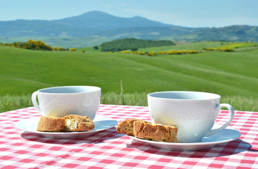 Two coffee cups and cantuccini on the chequered cloth against Tu