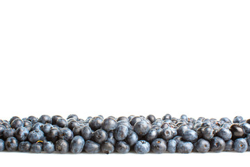 Freshly picked blueberries