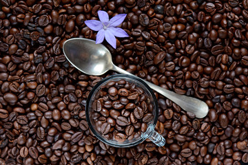 Chicchi di caffè tostato in tazza