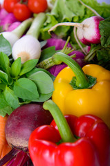 different ripe vegetables