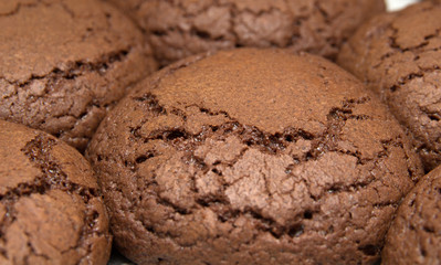 freshly made choocolate cookies