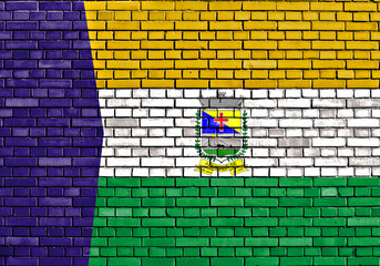 flag of Aquidaba painted on brick wall