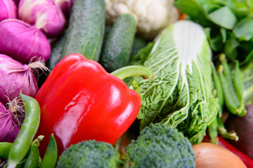 different ripe vegetables