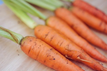 Baby carrots, fresh vegetables grown with pesticides and non-tox