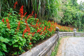 Flower garden at Ba Na Hills, Da Nang, Vietnam
