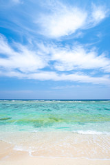 沖縄の海