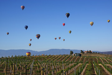 Fototapeta premium Balloon and Wine Festival in Temecula, California