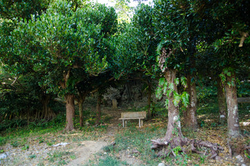 沖縄県　波照間島　ふりぶち公園