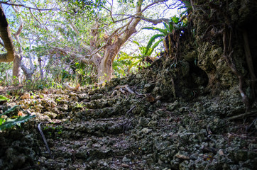 沖縄県　波照間島　ふりぶち公園