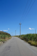 Fototapeta premium 沖縄県 波照間島の風景
