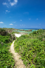 Fototapeta na wymiar 海へ続く道・沖縄のビーチ