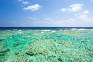 沖縄の海