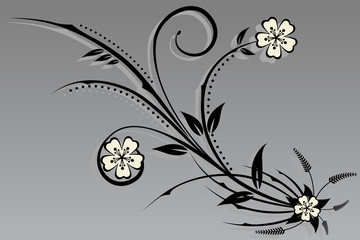 vector floral and flower