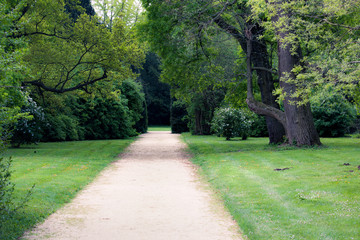 Obraz premium Summer park walkway