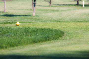 Golf ball on the green golf course