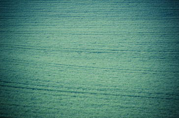 Green grass background