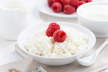 fresh homemade cottage cheese with raspberry, milk and yogurt