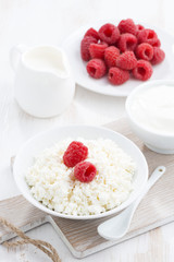 fresh homemade cottage cheese with raspberry, milk and yogurt