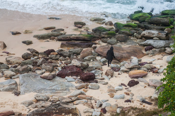 Bondi beach