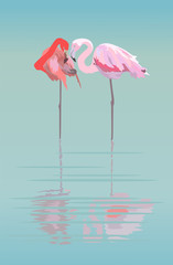 Pair of flamingos in the pond