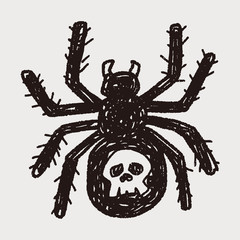 spider doodle