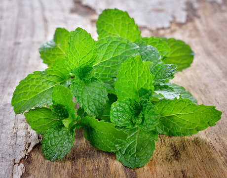 Fresh mint on wooden background