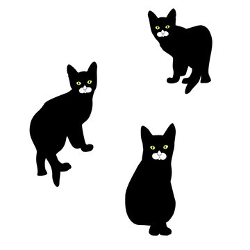 Black little kittens on a white background