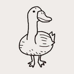 duck doodle