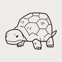tortoise doodle