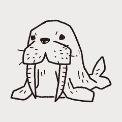 Fototapeta premium walrus doodle