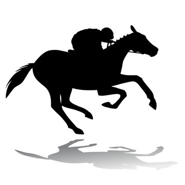  horse rider, vector illustration