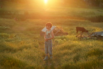 boy on field with calf © alekuwka83