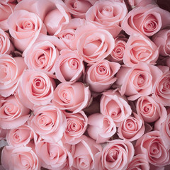 Obrazy na Plexi  różowy kwiat róży bukiet rocznika tle