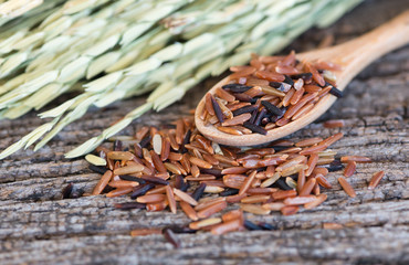 Jasmine Brown rice on wood spoon