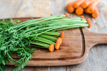 green top of fresh carrots