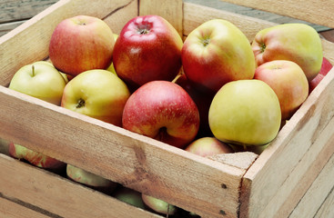 Apples in a box.