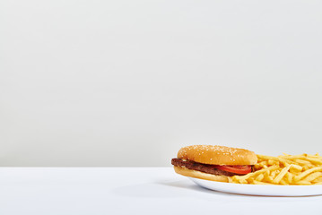 burger with fry potatoes