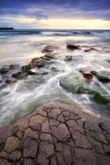 Entre rocas y musgo.
Asturias, España.