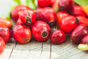 Dogrose fruits