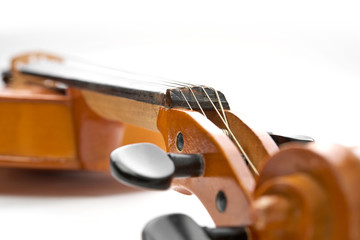 Plakat violin on white background