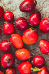 Dogrose fruits
