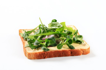 Slice of bread with fresh salad greens